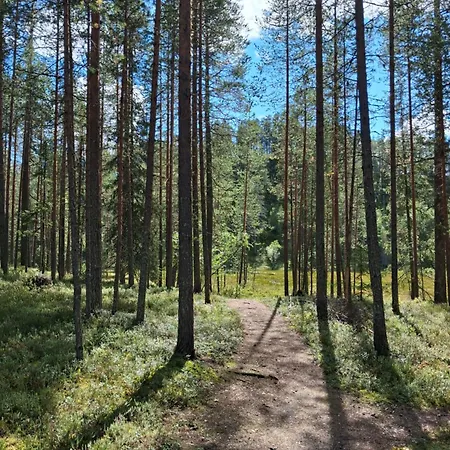 Apartment Iso-syoete Tunnelmallinen Kelomoekki *